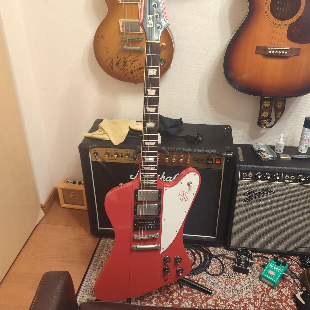 ぴ*〜様 Bunnyバーニー ファイヤーバード 専用ソフトケース付き