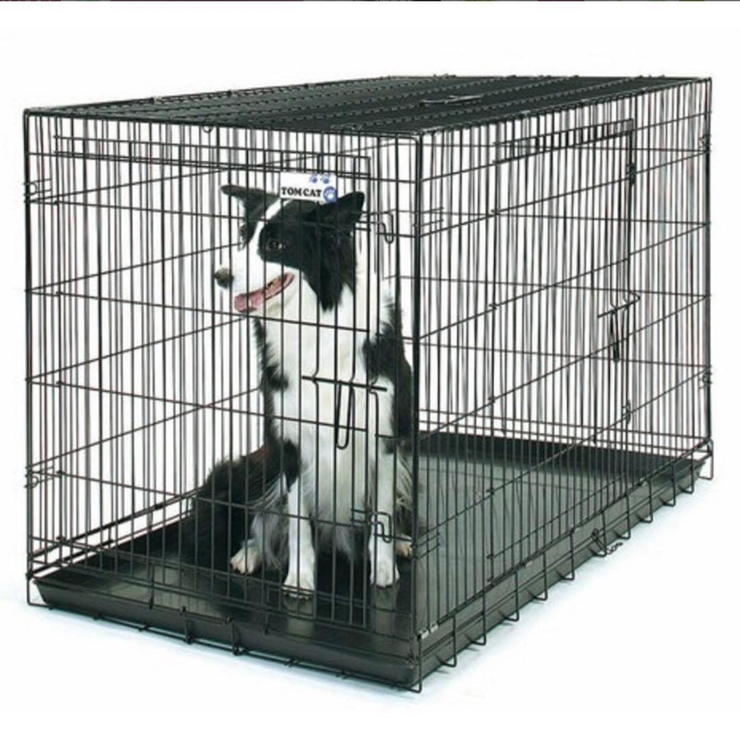 PVC フォルマックス爬虫類 小動物 ケージ 自動温度コントロ