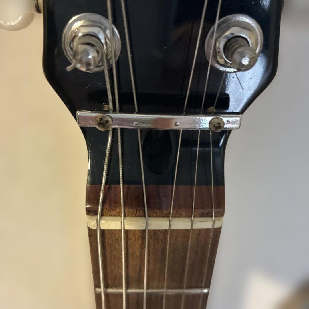 ピグノーズPGG100 サンバースト