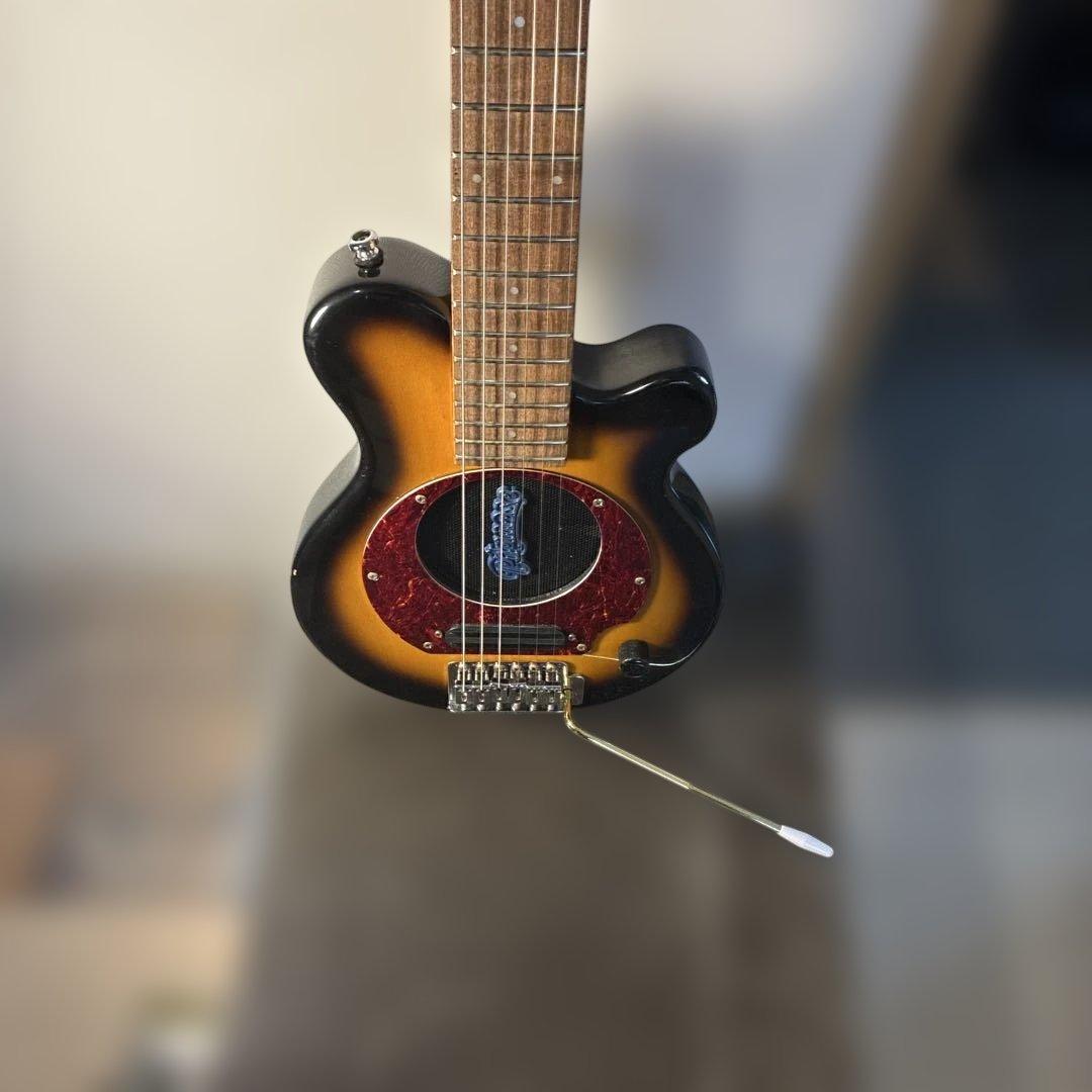 ピグノーズPGG100 サンバースト