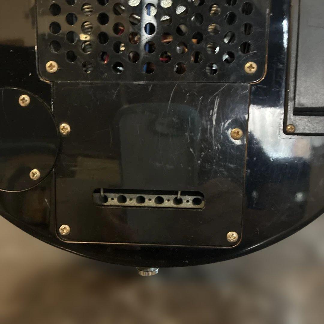 ピグノーズPGG100 サンバースト