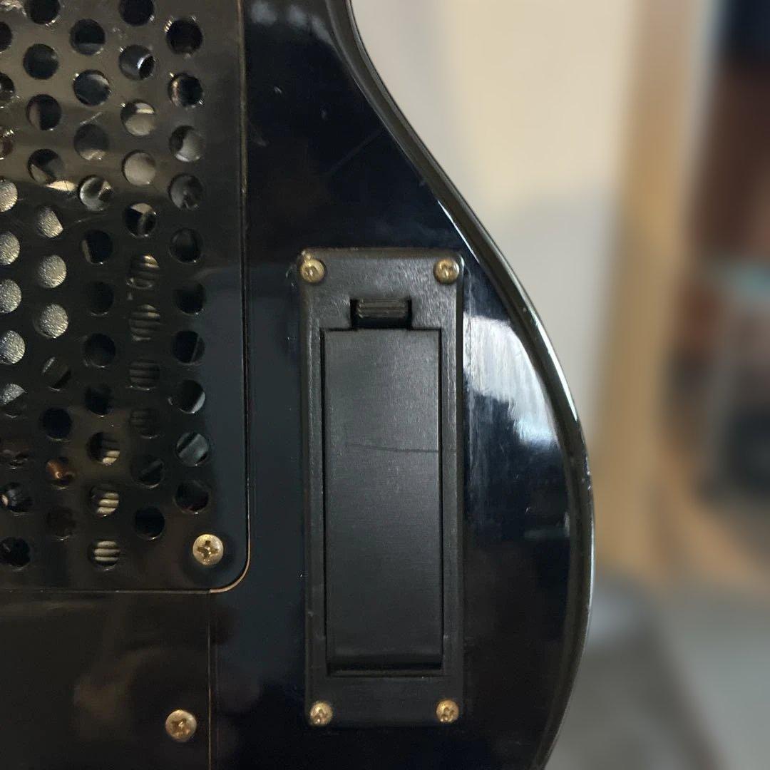 ピグノーズPGG100 サンバースト