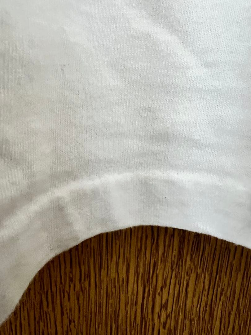 ジェラシックパーク オニータ XL USA シングル old ビンテージ