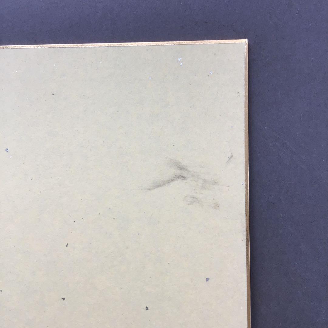 色紙 臨済宗相国寺 記念 松國大龍 畳紙 配送用袋 S1030SSD