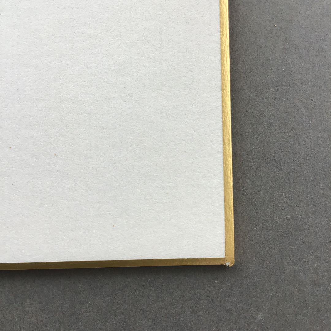 色紙 臨済宗相国寺 記念 松國大龍 畳紙 配送用袋 S1030SSD