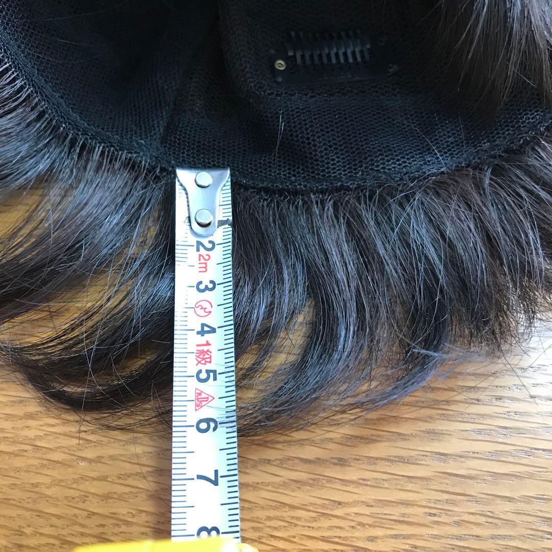 フェザー レオンカウィッグ EX-15 F4モダアクリル人毛