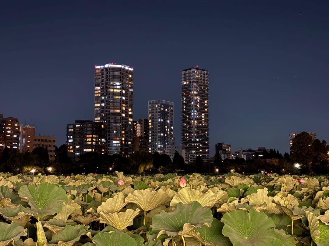 2023年製 東芝 40型液晶テレビ REGZA 40V34【直接引取り】 2023年製 東芝 40型液晶テレビ REGZA 40V34【直接引取り】