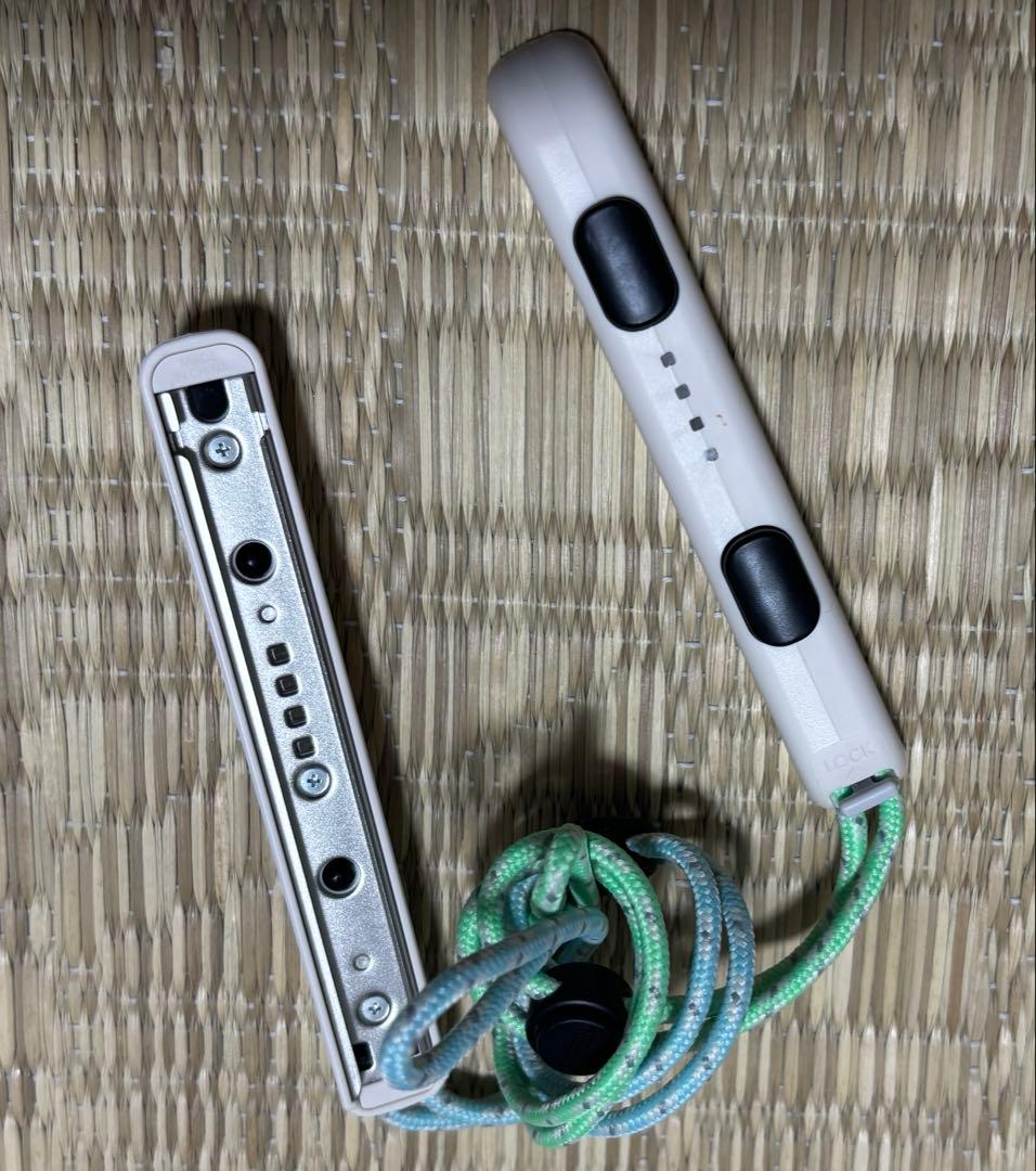 Nintendo Switch あつ森同梱版本体(マリオのSwitchケース付)