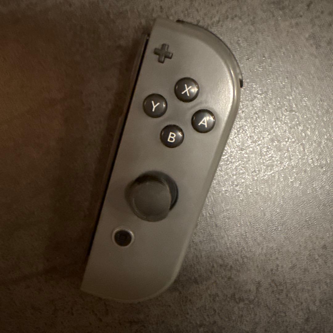 Switch Nintendo 本体 Joy-Con グレー ケースセット