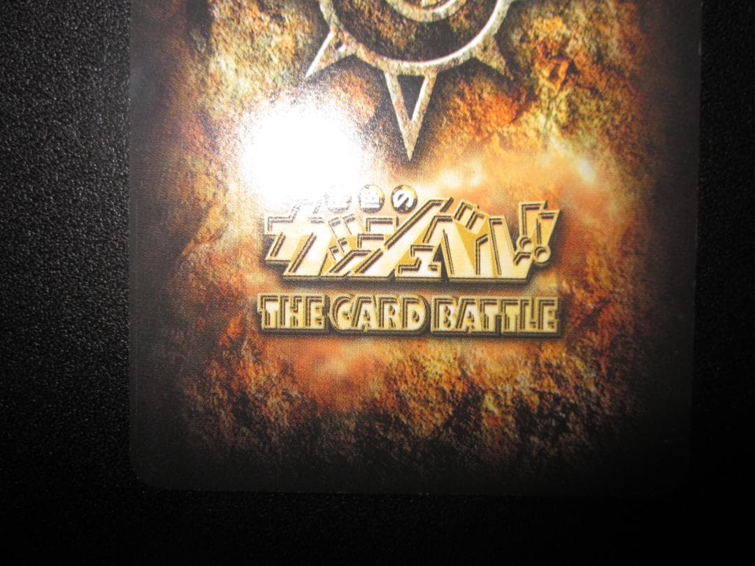 ガッシュ・ベル　レイラ＆ビクトリーム　整理番号、185-H