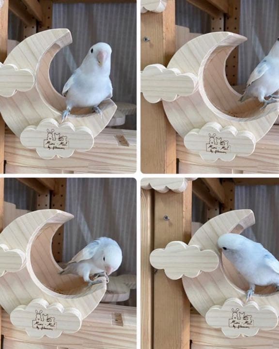 チンチラハウス 月 moon 小動物用 可愛い