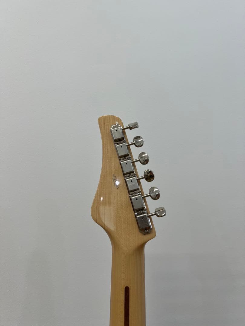 フジゲン（fujigen）セミオーダー　funkおじさんピックアップ