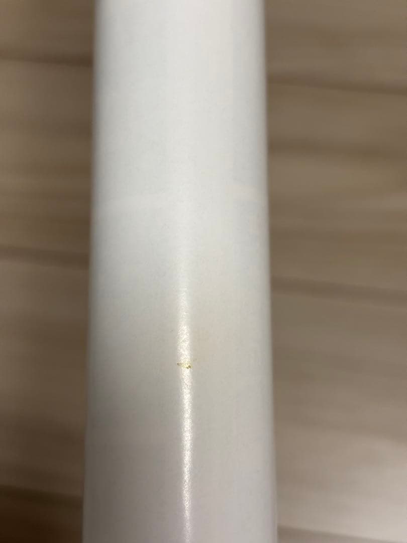 【超希少】バイオハザード4 販促ポスターB2