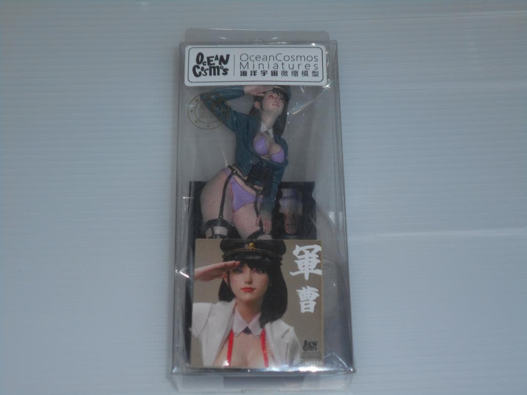 オーシャンコスモス　フィギュア　軍曹　塗装済み完成品　M0120 1/12