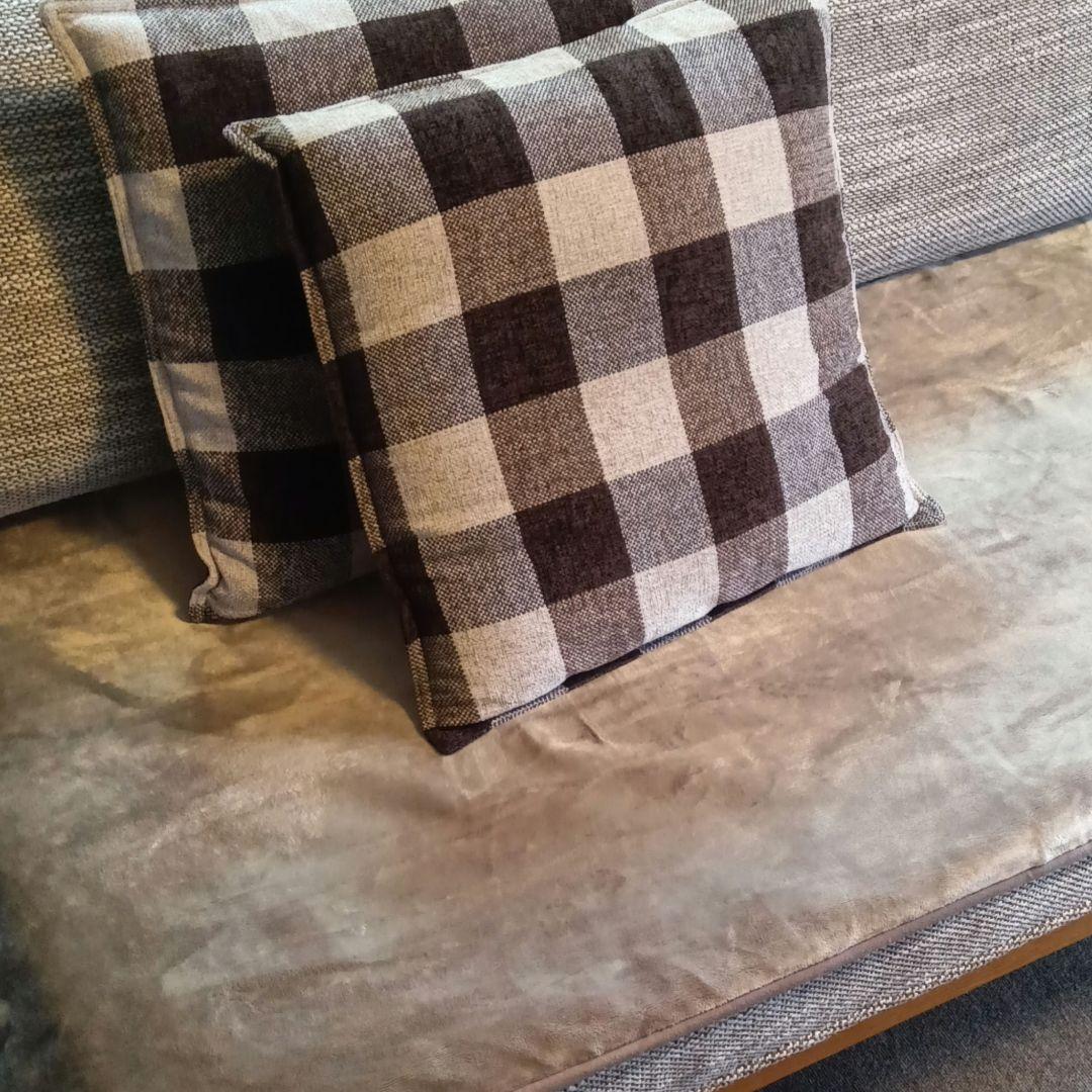 週末SALE!!　ALBELO(アルベロ) 2シーター [2022年4月購入]