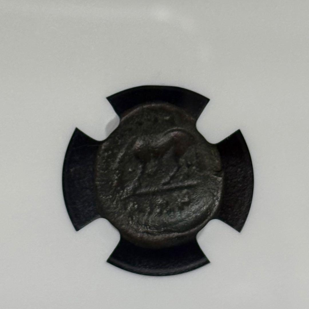 古代コイン テッサリア 紀元前4世紀 AE15 コイン NGC認証