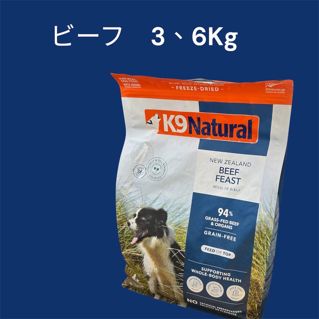 スヌープドッグ お皿 フードボール 金色 Lサイズ カッコイイ 犬 コラボ