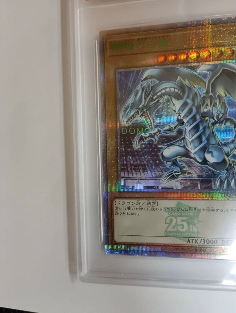 2024 YU-GI-OH! 青眼の白龍 東京ドーム限定