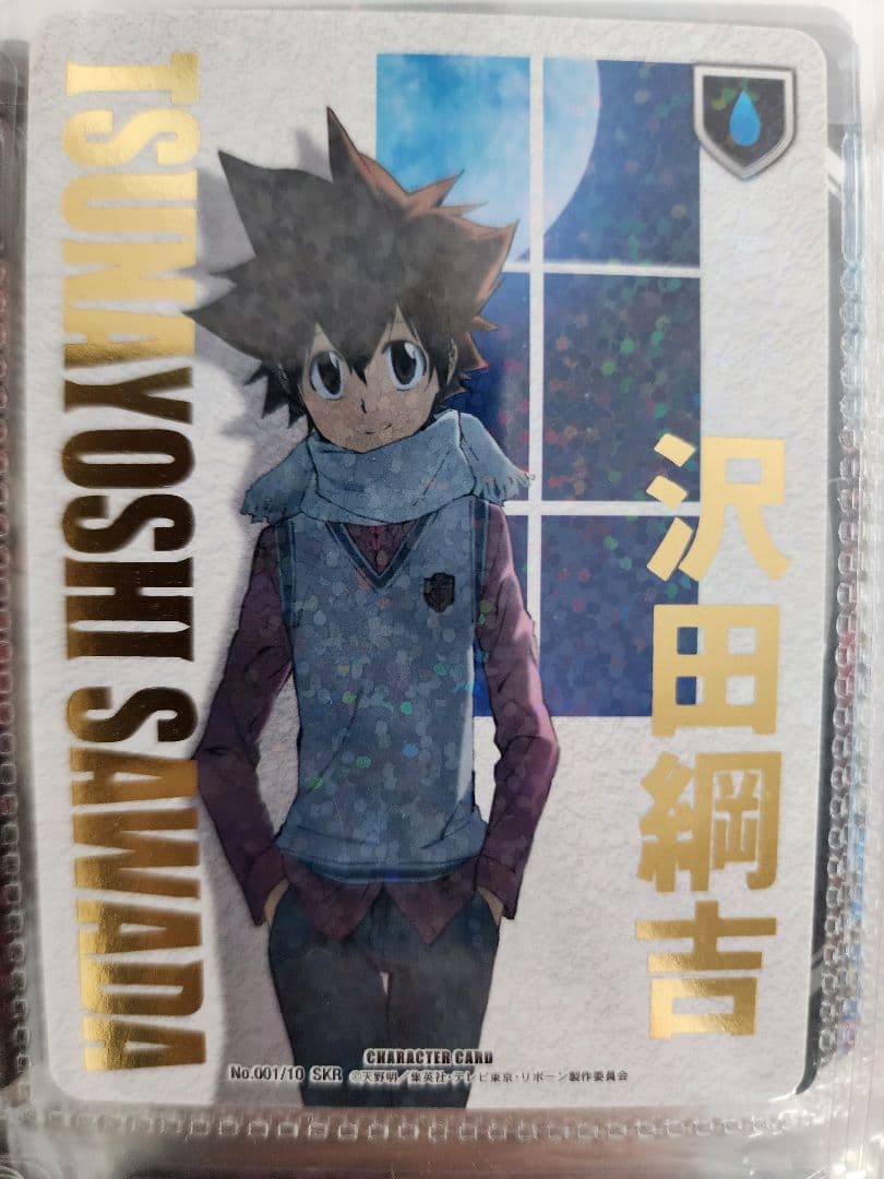 家庭教師ヒットマンREBORN 沢田綱吉CCG SKR 死ぬ気レア - メルカリ