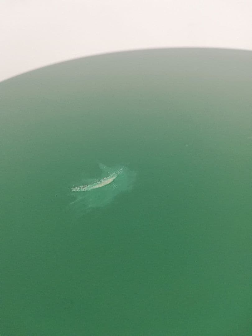 アルテック artek Paimio 90 Years