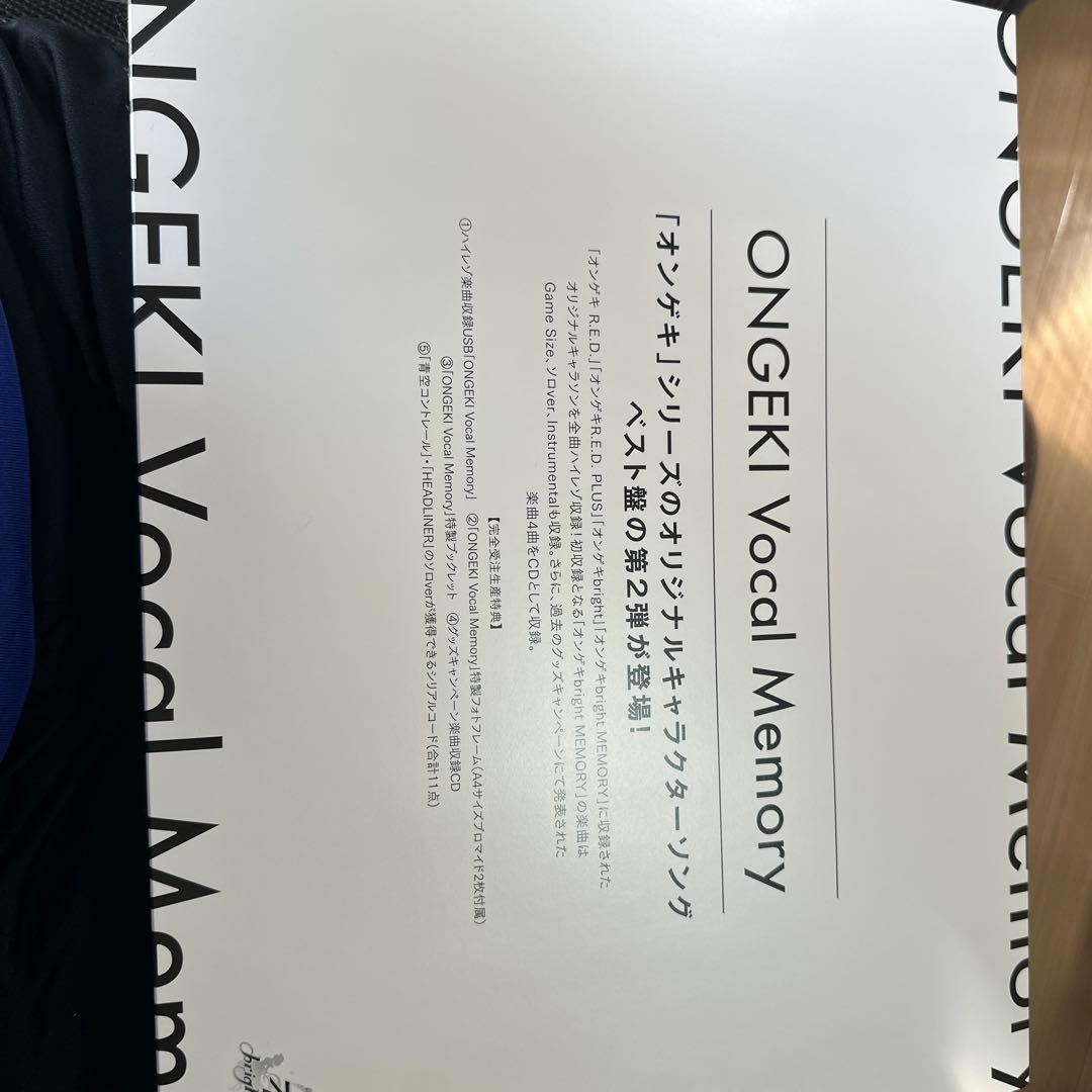 その他 ONGEKI Vocal Memory