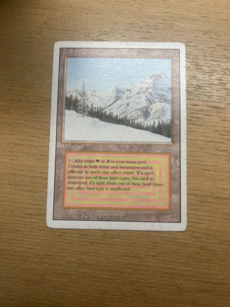 MTG Taiga 3ED 英語 Taiga mtg 英語 Taiga | 3rd Edition / Revised | Star City Games