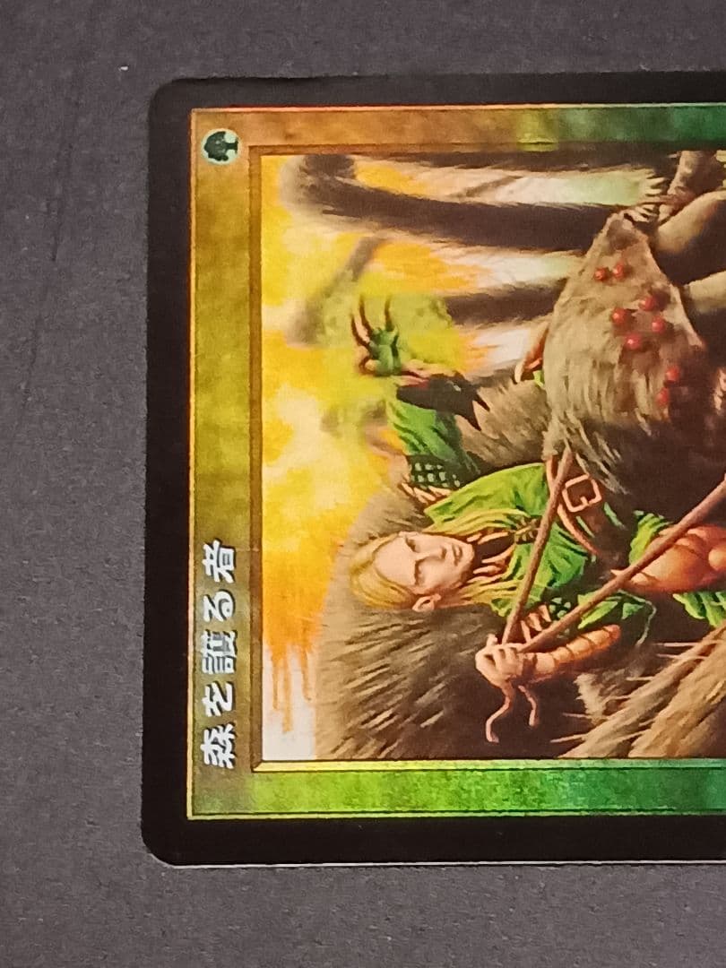 森を護る者 Sylvan Safekeeper 日本語 Foil MTG 森を護る者 foil MTG