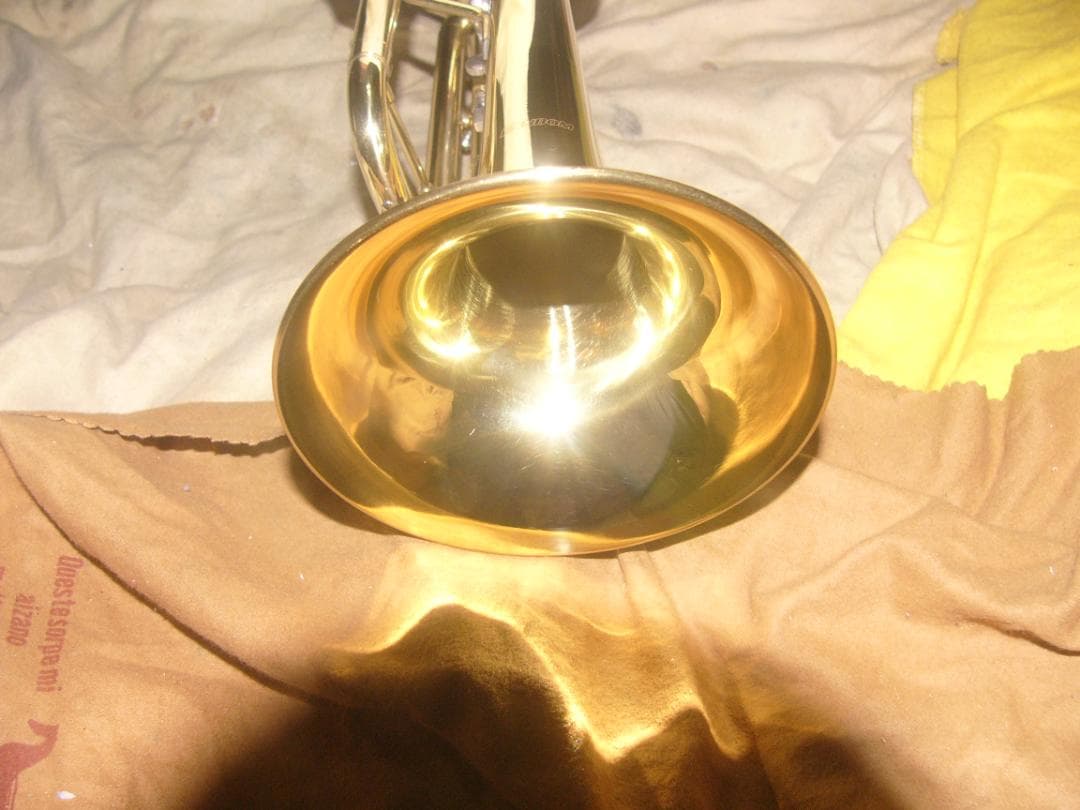 超激安特価！生産終了品 ・ENNBOM バックスタイルモデル Tp（新古品級）