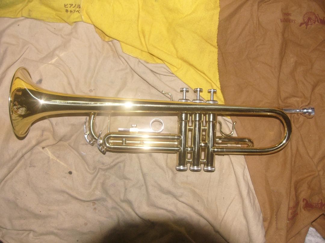 超激安特価！生産終了品 ・ENNBOM バックスタイルモデル Tp（新古品級）