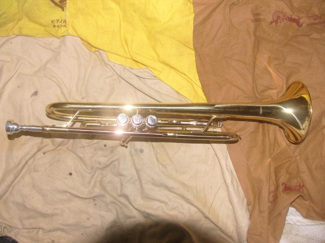 超激安特価！生産終了品 ・ENNBOM バックスタイルモデル Tp（新古品級）