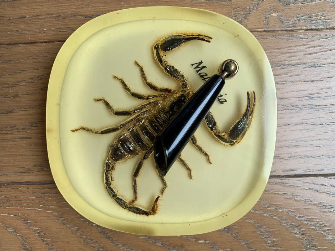 ビンテージ品）【サソリ・スコーピオン】マレーシア土産 標本 ペン立て