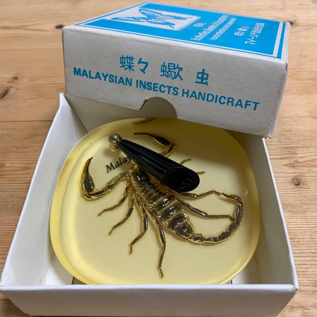 ビンテージ品）【サソリ・スコーピオン】マレーシア土産 標本 ペン立て