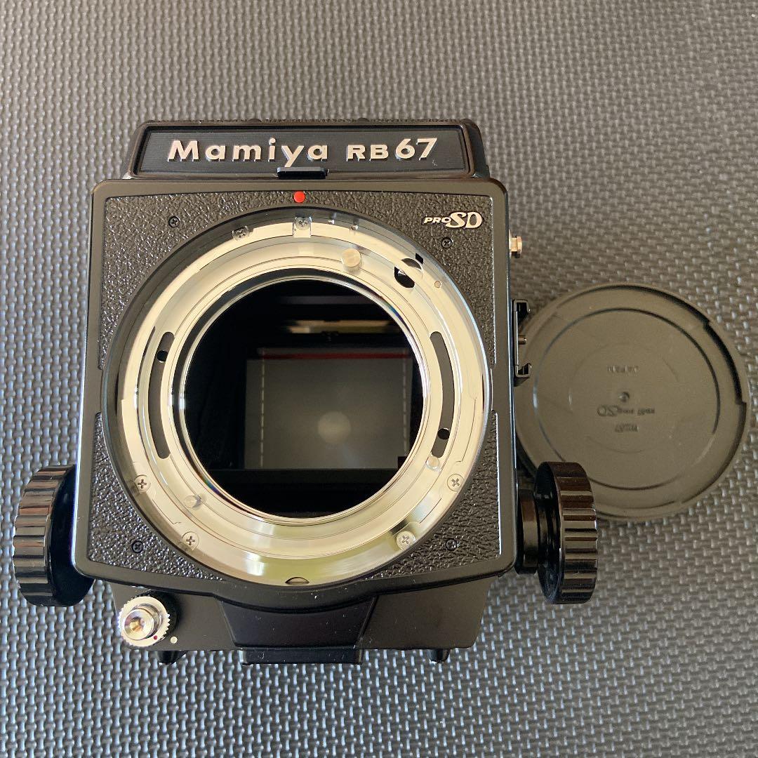 茶碗 紫雲作 朝顔