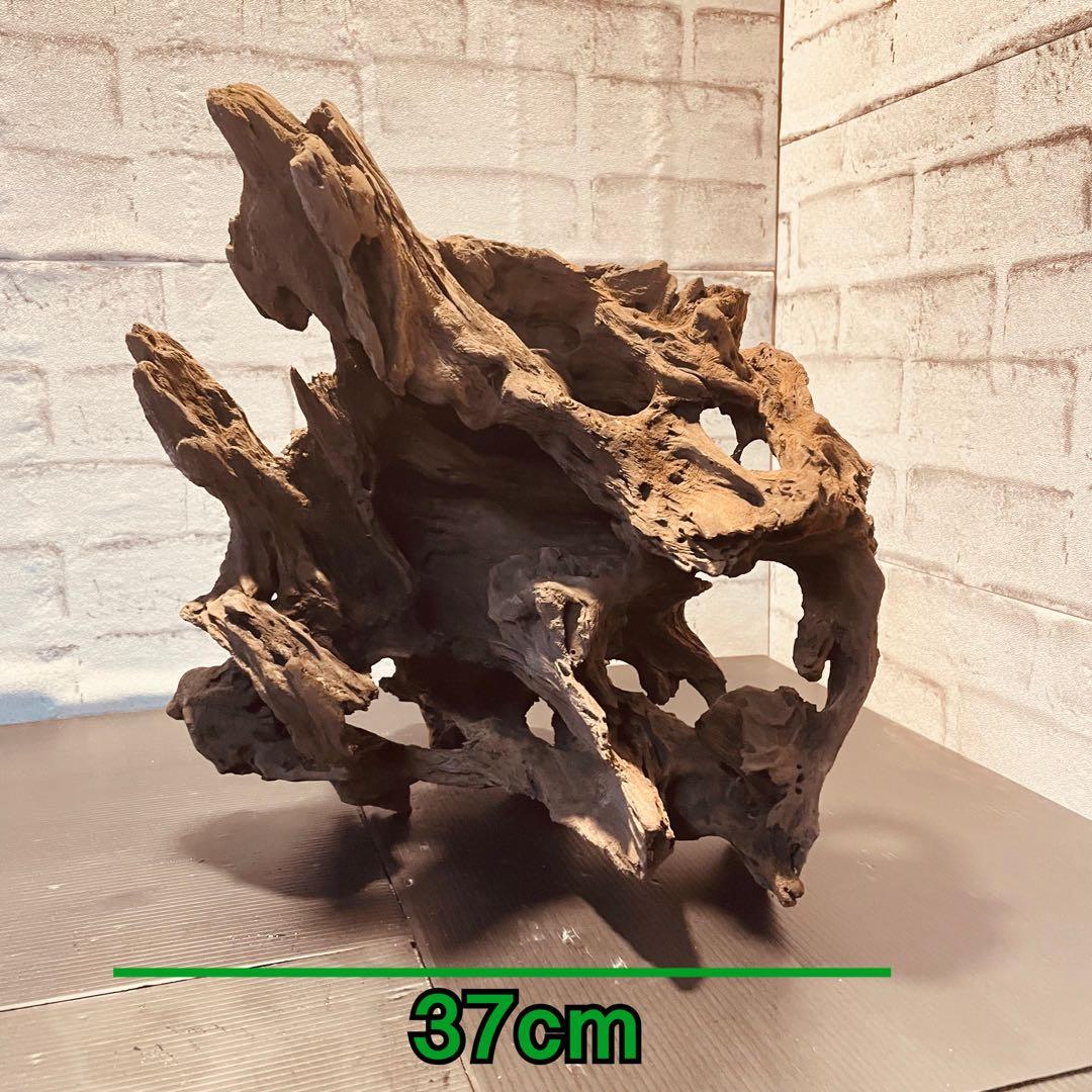 XM-378 流木 マシンガンウッド アクアリウム ブランチウッド アク抜き