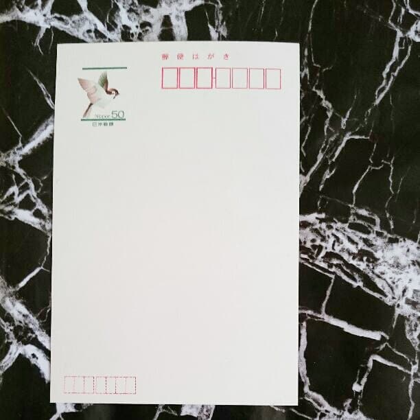 大サービスセール中【☆幸運ライオン】※詳細説明をお読み下さい。