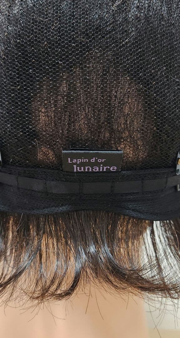 ぽっちり　2個まとめてウィッグ　ショートボブウィッグ ダークブラウン