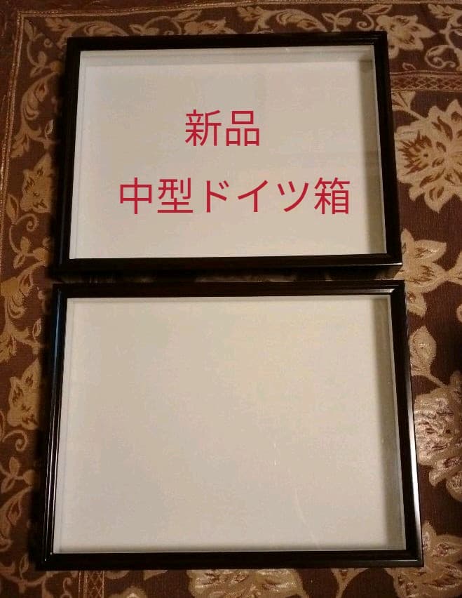 昆虫標本箱 中型ドイツ箱 2個セットA ドイツ箱マグネットコレクション