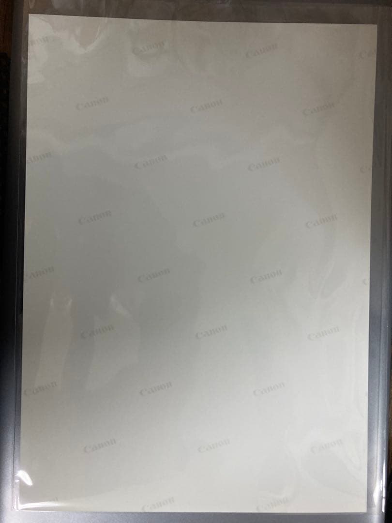 河合奈保子 A4サイズ 光沢写真