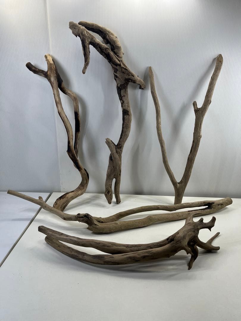 F4 アク抜き済み流木セット爬虫類シェルター 登り木 インテリア 生け花