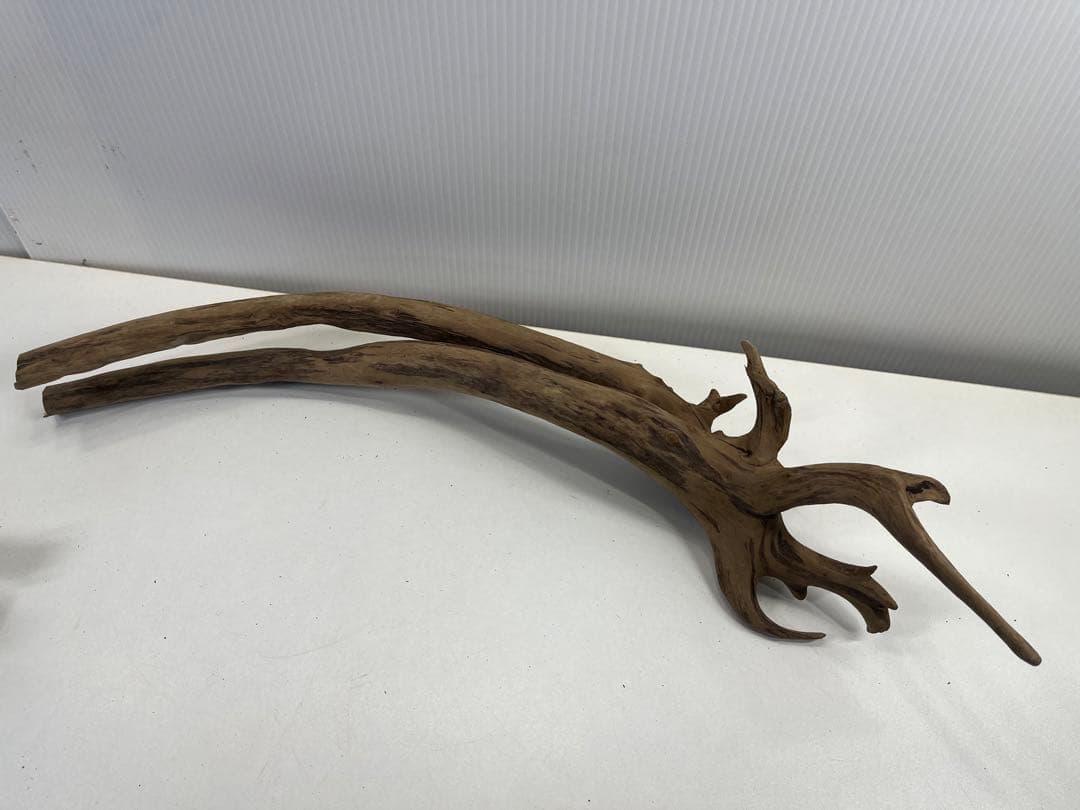 F4 アク抜き済み流木セット爬虫類シェルター 登り木 インテリア 生け花