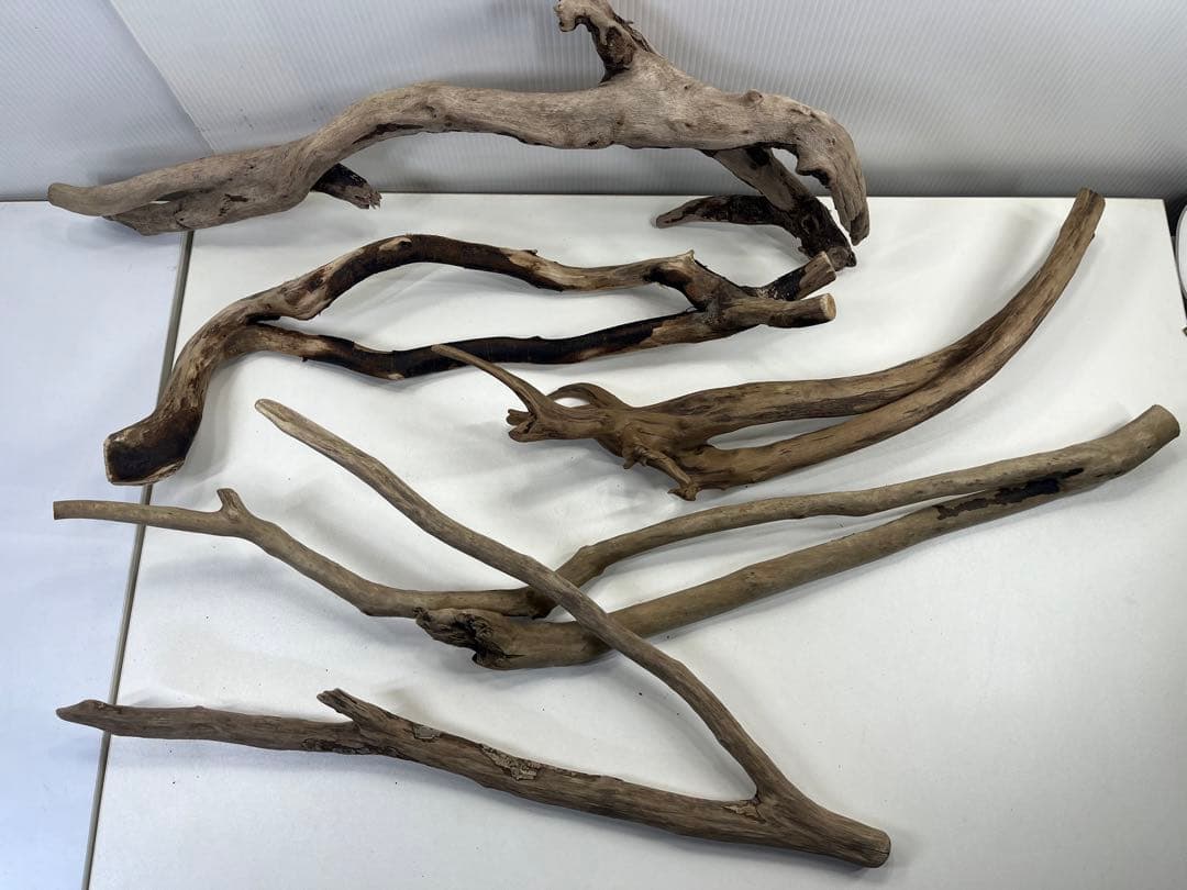 F4 アク抜き済み流木セット爬虫類シェルター 登り木 インテリア 生け花