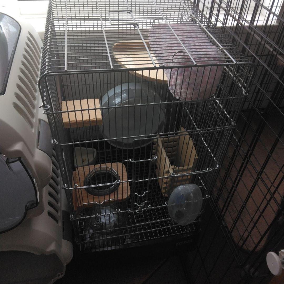 SANKO イージーホーム37ハイ BK ブラック イージーホーム R37ハイ BK ｜ 株式会社三晃商会