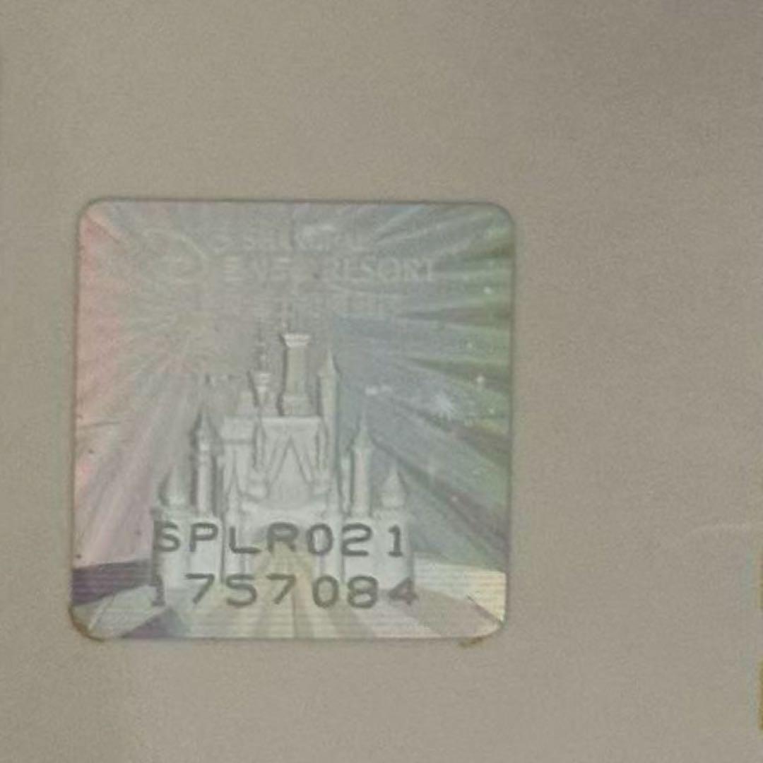 Rosé様専用 お顔厳選 ディズニー ミツバチクッキーアン 肩のせぬいぐるみ