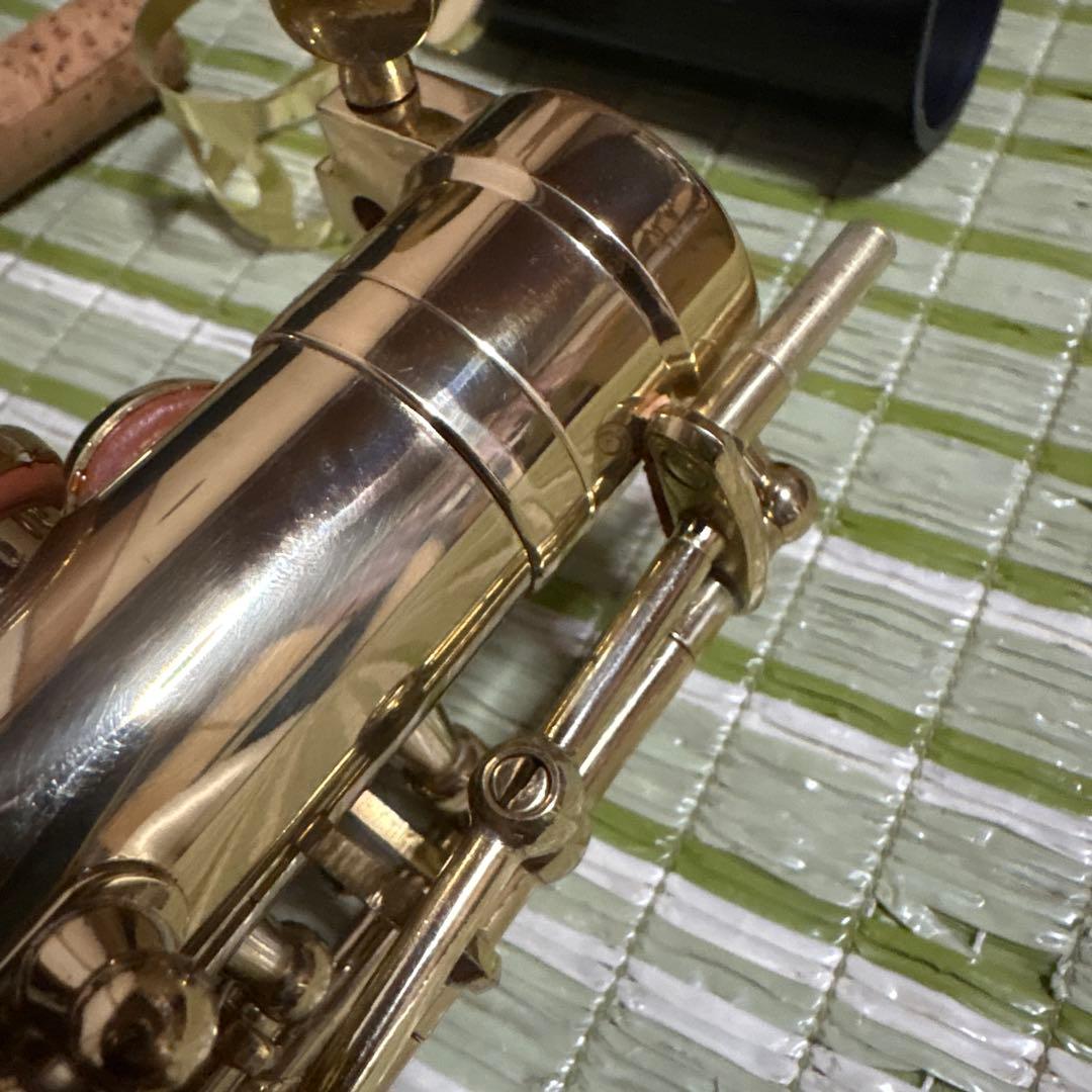 SELVA セルバ アルトサックス SAS-100 ケース付き　管楽器　音楽