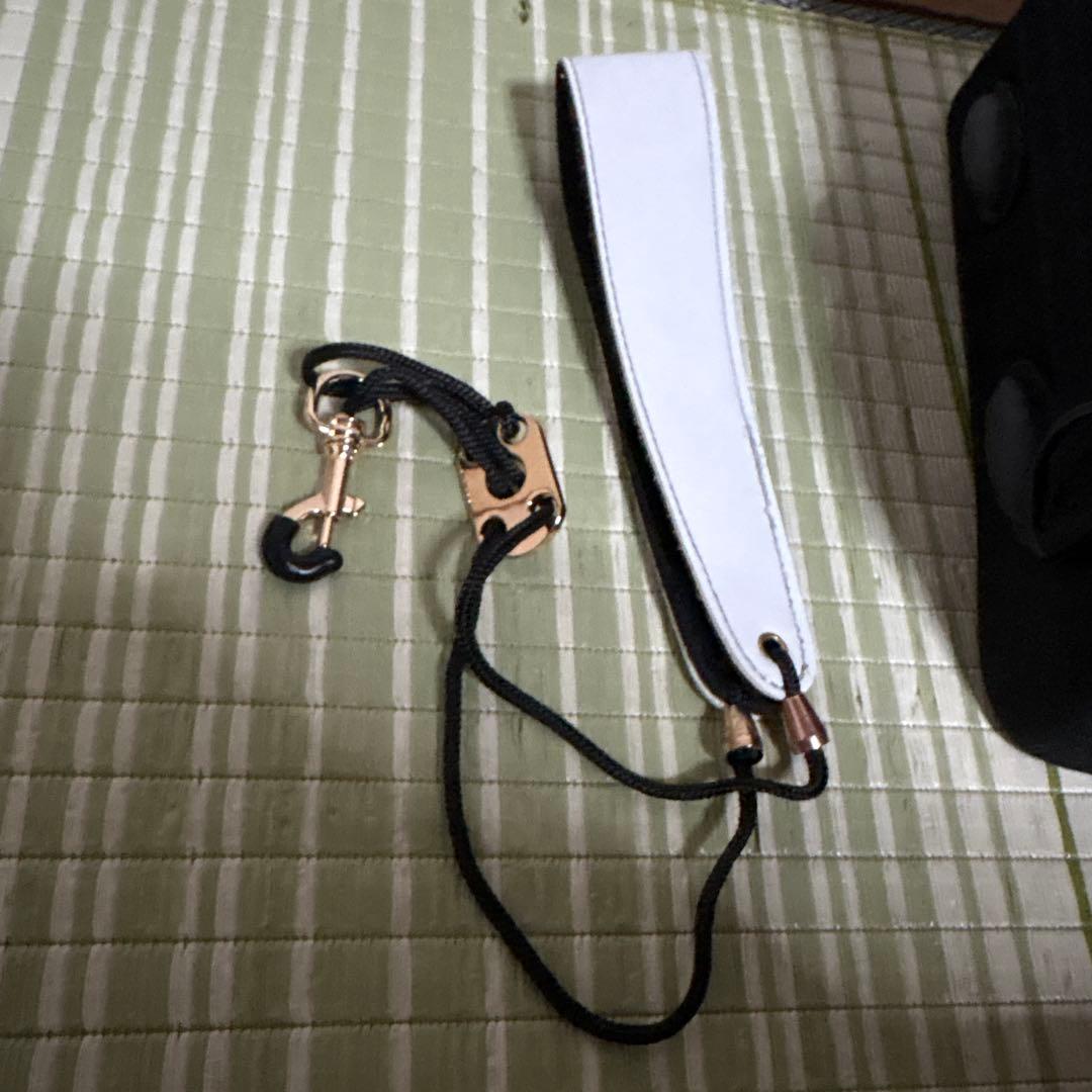 SELVA セルバ アルトサックス SAS-100 ケース付き　管楽器　音楽