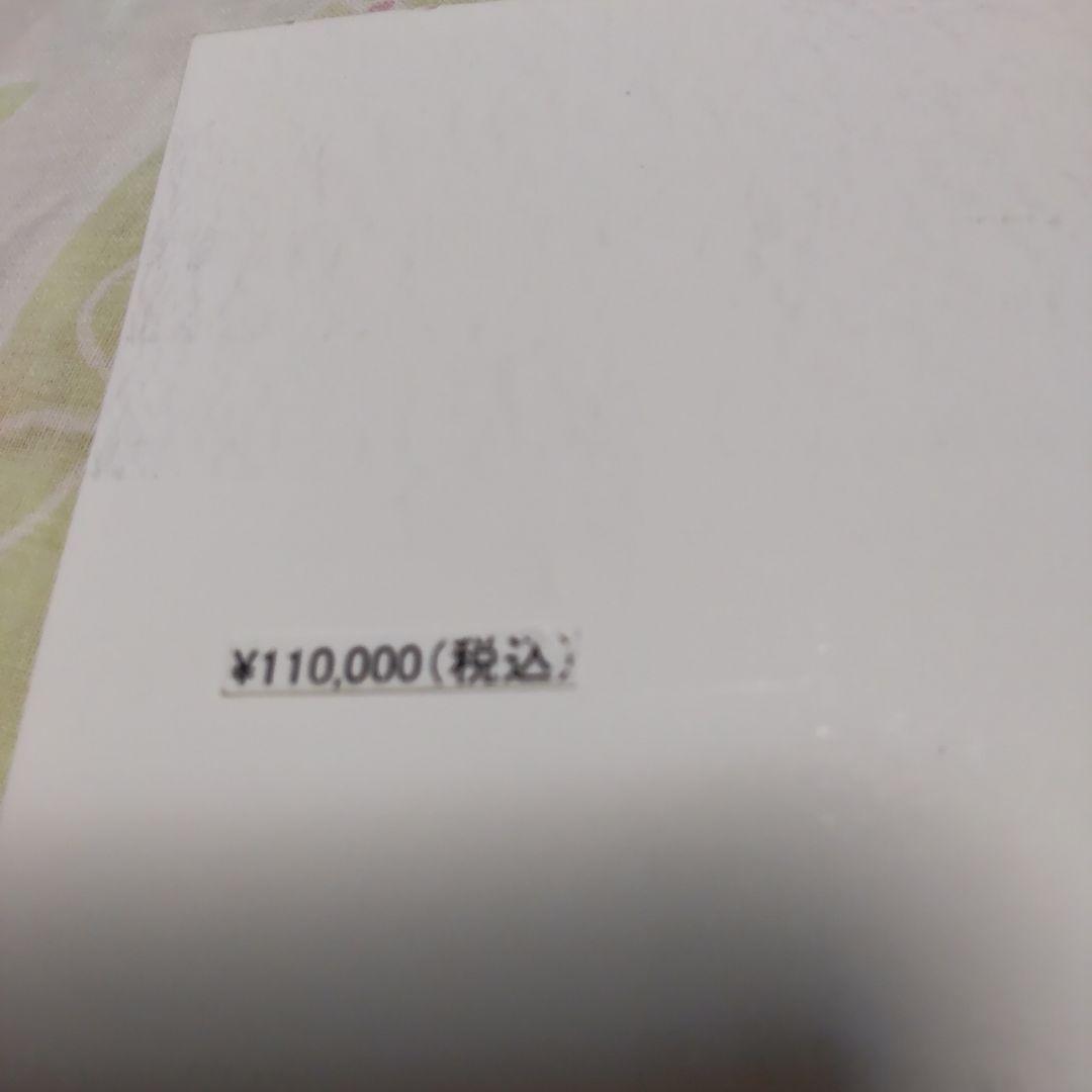 はなさん専用！バイオリン本体C.Giordanoカルロジョルダーノ木製手工芸品