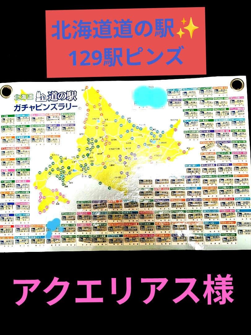 北海道 道の駅 ピンズゴールドピンズ2024年版 99種類早い物勝ち✨ 北海道