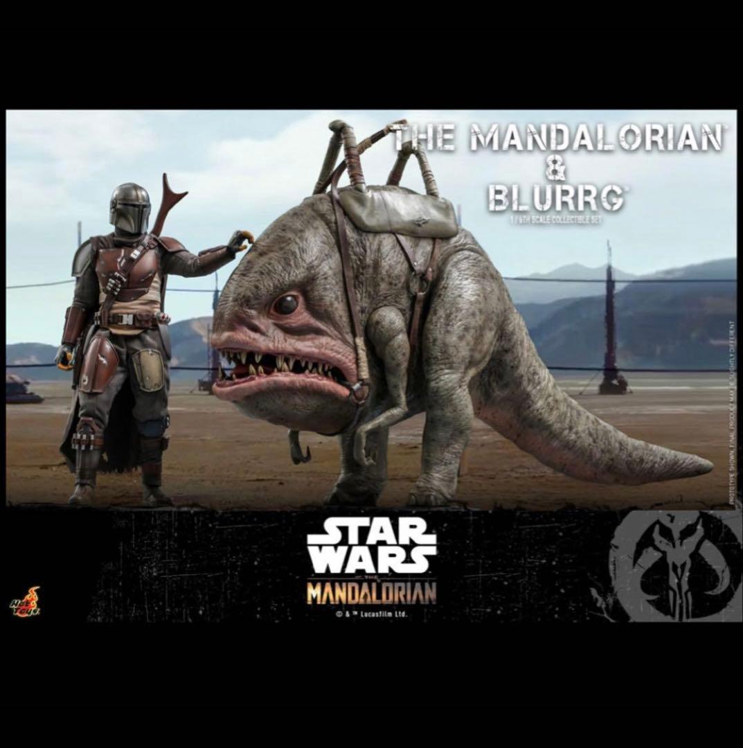 【未展示】マンダロリアン＆ブラーグ（２体セット）　ホットトイズ　TM 046