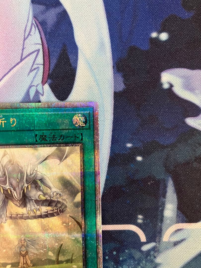 即日発送　青き眼の祈り　25th 1枚