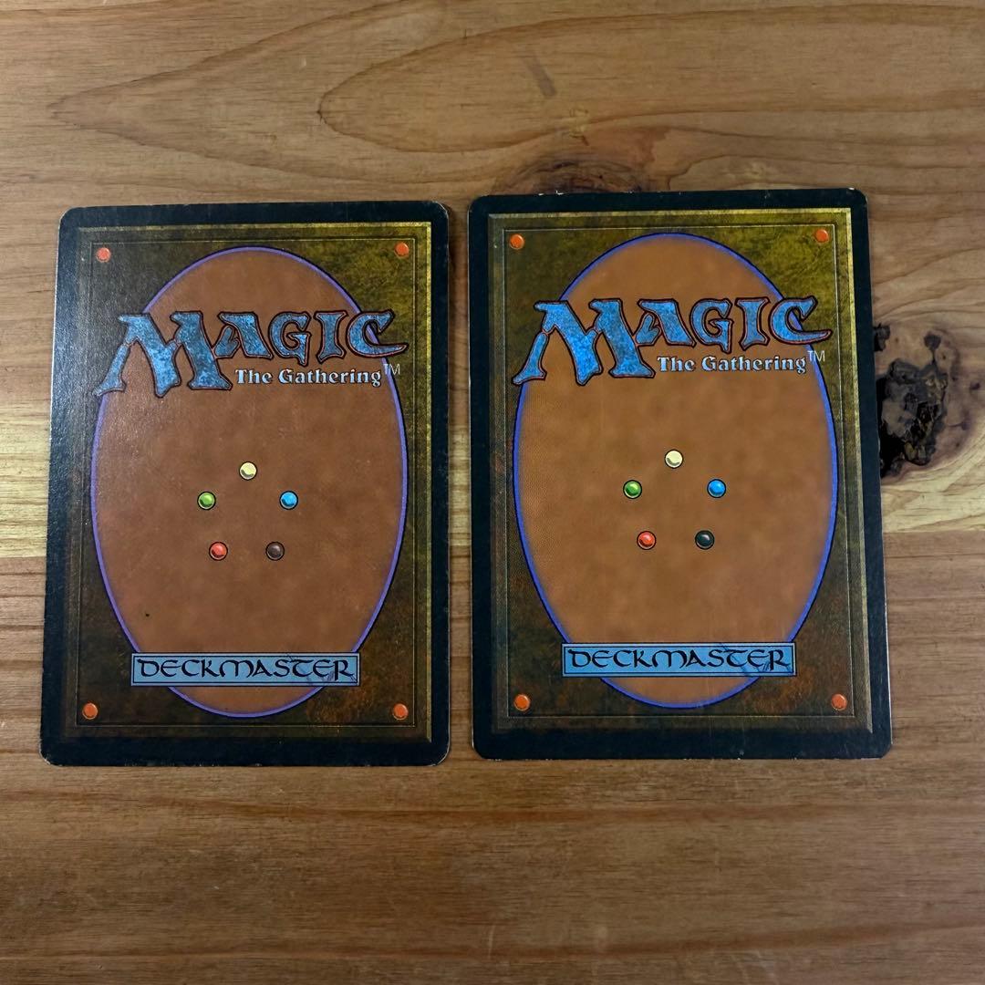 アダーカー荒原 Adarkar Wastes 英語 MTG